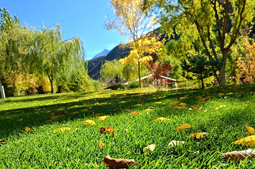 Cabañas Nueva Villa Campestre